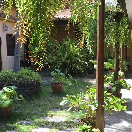 Bellasombra Suites 大加那利岛拉斯帕尔马斯